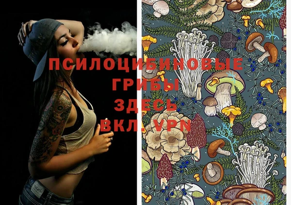 apvp Аркадак