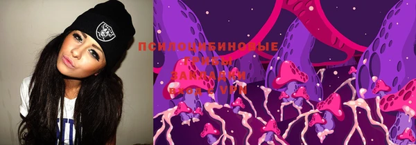 apvp Аркадак