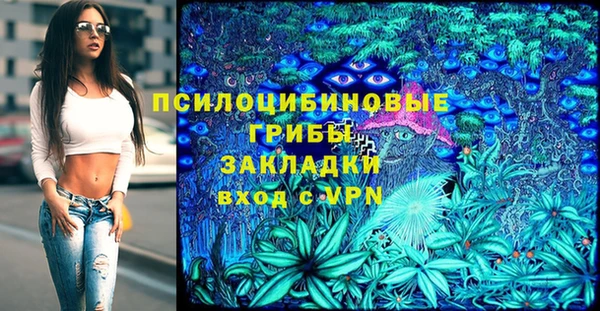 apvp Аркадак