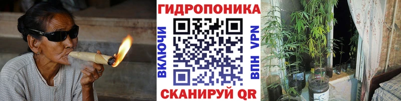 Конопля сатива  что такое наркотик  Краснодар 